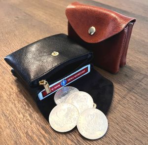 Card and Coin Carrier