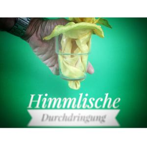 Himmlische Durchdringung