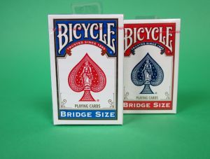  Bicycle Bridge-Size