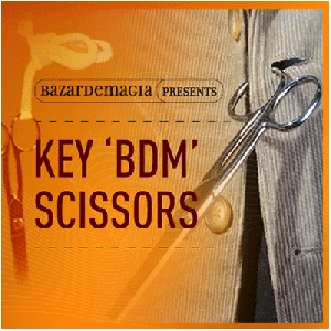 KEY SCISSORS