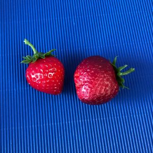 Erdbeeren, 2 Stück