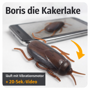 Boris die Kakerlake