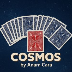 Cosmos by Anam Cara