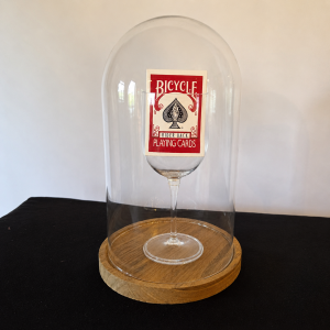 Rising Card Pro 3000 inkl. Glaskuppel & Outdoor Wine Glass