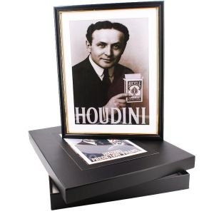Houdini Prediction Frame