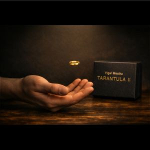Tarantula II by Yigal Mesika 
