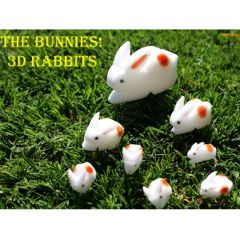 3D Rabbits - Häschenvermehrung