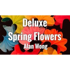 Deluxe Spring Flowers by Alan Wong