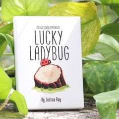 Lucky Ladybug
