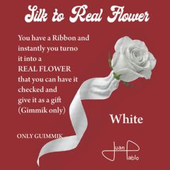 Silk to Real Flower