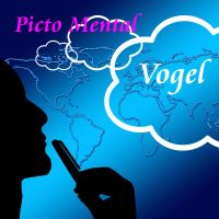 Picto Mental 2000