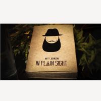 In Plain Sight by Matt Johnson 