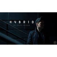 Hybrid by Danny Weiser 