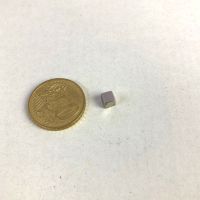 Magnet  2 x 2 x 2 mm 