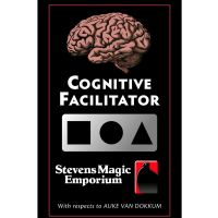 Cognitive Facilitator by Auke van Dokkum 
