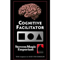 Cognitive Facilitator by Auke van Dokkum 