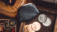 Coin Purse v. V.