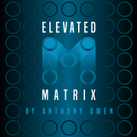 Elevated Matrix by Anthony Owen