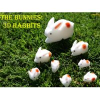3D Rabbits - Häschenvermehrung