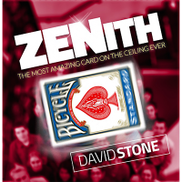 Zenith by David Stone 