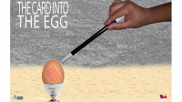 Card Into The Egg