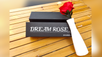 Dream Rose