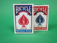  Bicycle Bridge-Size