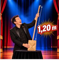 Strohhalm oder Holzstab  1,20 m