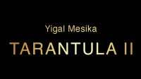 Tarantula II  by Yigal Mesika 