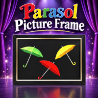 Parasol Picture Frame by Tora Magic
