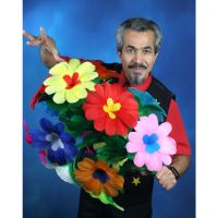 Stock zu Riesenblume (16 Blüten)