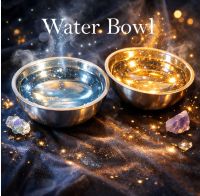 Water Bowl