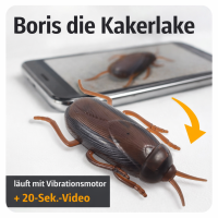 Boris die Kakerlake