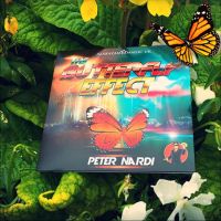The Butterfly Effect by Peter Nardi, incl. DVD