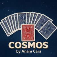 Cosmos by Anam Cara