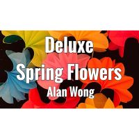 Deluxe Spring Flowers by Alan Wong