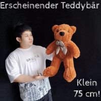 Erscheinender Teddybär - Klein