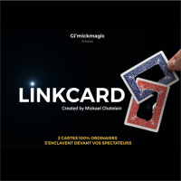 LinkCard by Mickael Chatelain