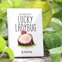 Lucky Ladybug