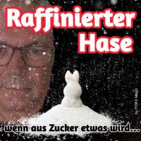 Raffinierter Hase by FOKX Magic