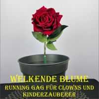 Welkende Blume