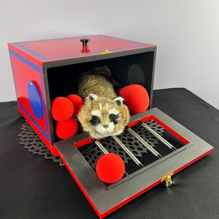 Action Box jetzt entdecken