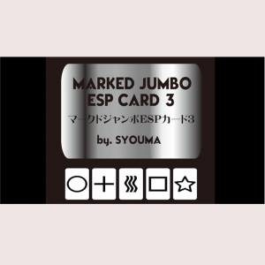 Marked Jumbo ESP Cards by Tejinaya Magic