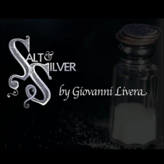 DVD Salt & Silver inkl. Salzstreuer