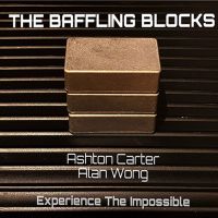 Baffling Blocks by Alan Wong and Ashton Carter