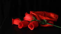 The Rose 2.0 by Bond Lee & Wenzi Magic