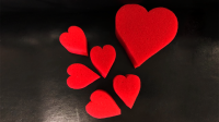 Sponge Heart Set 