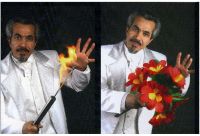 Automatic Torch to Bouquet