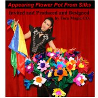 Two Appearing Flower Pots from Silk