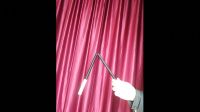 Wilting Magic Wand by Strixmagic
